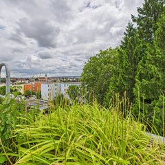 Ideal für Singles und Pendler: Helles 1-Zimmer-Appartement in Amberg - 145.000€
